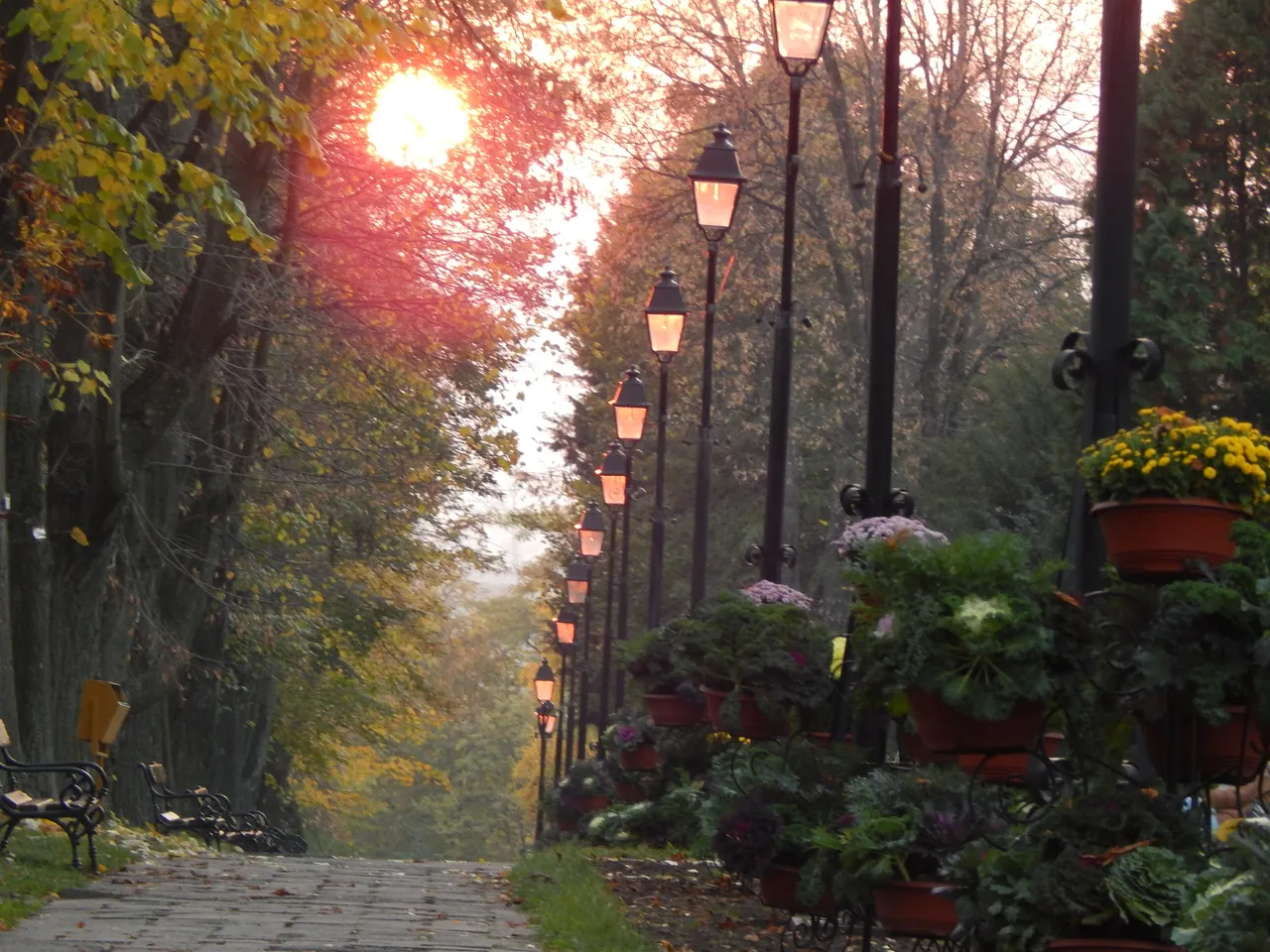 Aleea din Parcul Copou, Iași — loc pentru ședință foto în Iași